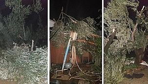 AYVACIK'I HORTUM VURDU