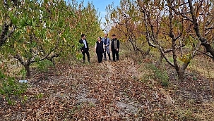 İL MÜDÜRÜ TÜRKASLAN YERİNDE İNCELEDİ