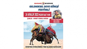 BAYRAMİÇ, DEVE GÜREŞLERİNE HAZIR