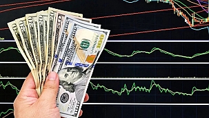 1 DOLAR ARTIK 30 LİRA!