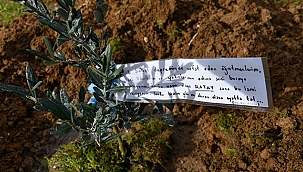 "6 ŞUBAT DEPREMİ VEFAT EDEN ÖĞRENCİLER HATIRA ORMANI" 