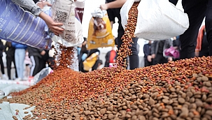 ÇAN'DA 100 KİŞİ 1000 AYRI NOKTAYA MAMA DAĞITTI