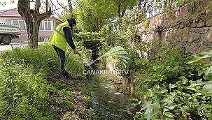 ÇAN BELEDİYESİ'NDEN LARVA İLAÇLAMASI
