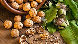 TÜRKİYE CEVİZ VE BADEM FUARI, YARIN BİGA'DA BAŞLIYOR