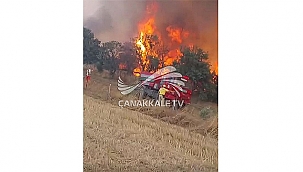  BAYRAMİÇ'TE ORMAN YANGINI!