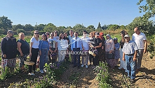 İLK ÇİÇEK HASADI YAPILDI