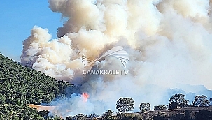 SICAK HAVALARA DİKKAT!