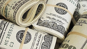 DOLAR TARİHİ ZİRVEYİ GÖRDÜ