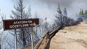 TARİHİMİZ CAYIR CAYIR YANIYOR!