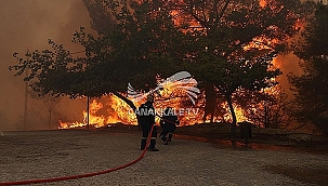 YUNANİSTAN'DA YANGIN!