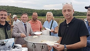 BİGA'DA ÇELTİK HASADI BAŞLADI