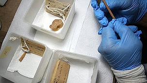 TROYA'DA 3.500 YILLIK OK UCU VE AŞIK KEMİĞİ KEŞFİ