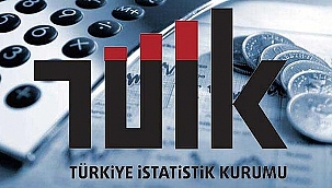 YURT İÇİ ÜRETİCİ FİYAT ENDEKSİ AÇIKLANDI