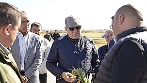 MİLLETVEKİLİ GİDER ÇİFTÇİLERLE BULUŞTU, ZARAR GÖREN TARIM ARAZİLERİNİ İNCELEDİ