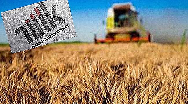 TARIM ÜRÜNLERİ ÜRETİCİ FİYAT ENDEKSİ AÇIKLANDI
