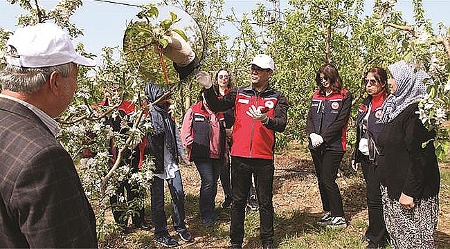 ÇANAKKALE'DE ELMA İÇ KURDUNA KARŞI BİYOTEKNİK MÜCADELE YAYGINLAŞIYOR