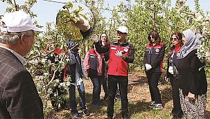 ÇANAKKALE'DE ELMA İÇ KURDUNA KARŞI BİYOTEKNİK MÜCADELE YAYGINLAŞIYOR