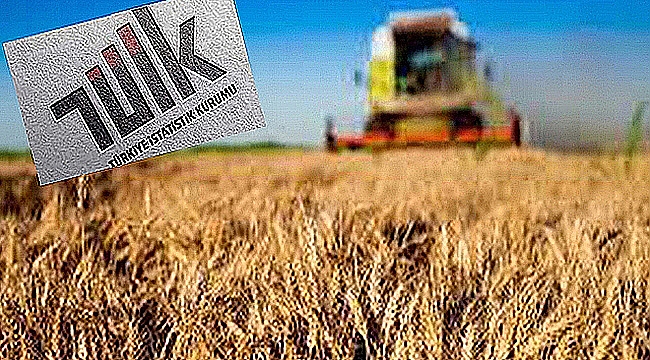 TARIM ÜRÜNLERİ ÜRETİCİ FİYAT ENDEKSİ AÇIKLANDI