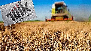 TARIM ÜRÜNLERİ ÜRETİCİ FİYAT ENDEKSİ AÇIKLANDI