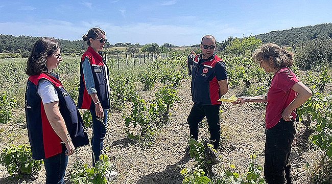 BOZCAADA'DA ORGANİK TARIM DENETİMLERİ GERÇEKLEŞTİRİLDİ