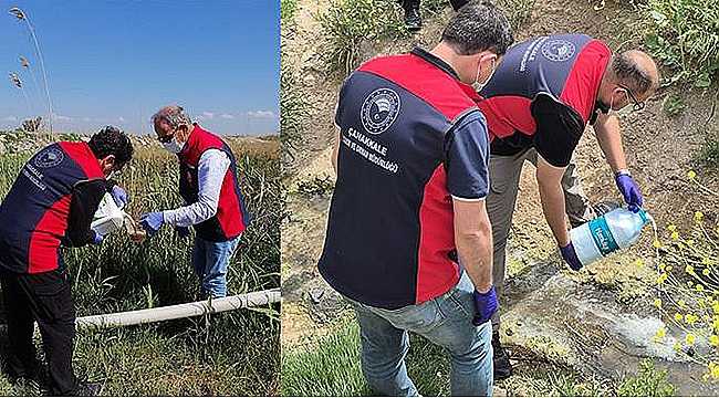ÇELTİK EKİLEN ALANLARDA SİVRİSİNEK MÜCADELESİ BAŞLADI