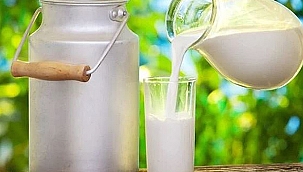 ÇİĞ SÜT ÜRETİM İSTATİSTİKLERİ AÇIKLANDI