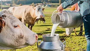 SÜT VE SÜT ÜRÜNLERİ ÜRETİMİ İSTATİSTİKLERİ AÇIKLANDI