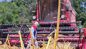 HASAT DÖNEMİNDE YANGINLARA KARŞI AZAMİ ÖNLEM
