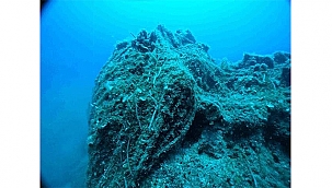 HAYALET AĞLARA KARŞI ORTAK MÜCADELE