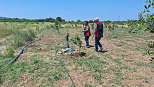 İL TARIM MÜDÜRLÜĞÜNDEN SULAMA ELEKTRİĞİ DENETİMİ