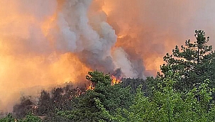 SAKARYA'DAN BİLECİK'E SIÇRAYAN YANGINDA 17 YERLEŞİM YERİ BOŞALTILDI