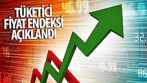 TÜKETİCİ FİYAT ENDEKSİ AÇIKLANDI