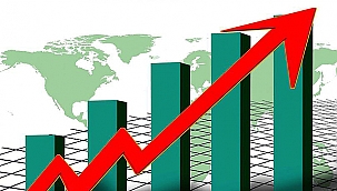 TÜRKİYE'NİN TÜKETİM MAL VE HİZMETLERİ FİYAT DÜZEYİ ENDEKSİ 53 OLDU