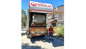 KARASİNEK VE HAŞERELERE YÖNELİK ÇALIŞMALAR ARALIKSIZ DEVAM EDİYOR