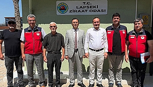 LAPSEKİ'DE TARIMSAL ÇALIŞMALAR YERİNDE İNCELENDİ