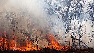 ORMAN YANGINLARINDA DUMAN VE HAVA KİRLİLİĞİNE DİKKAT!
