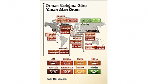ORMAN YANGINLARINDA TÜRKİYE'NİN BAŞARISI