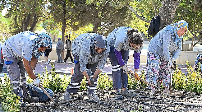 BARIŞ CADDESİ'NDE PEYZAJ ÇALIŞMALARI GERÇEKLEŞTİRİLDİ
