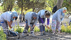 BARIŞ CADDESİ'NDE PEYZAJ ÇALIŞMALARI GERÇEKLEŞTİRİLDİ