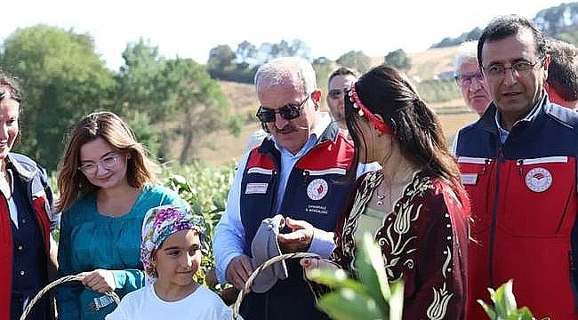 ÇAN'DA ARONYA HASADI BAŞLADI