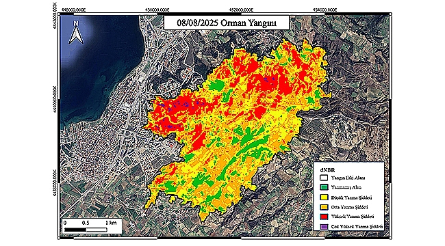  ÇANAKKALE ORMAN YANGINI UYDU ANALİZ RAPORU