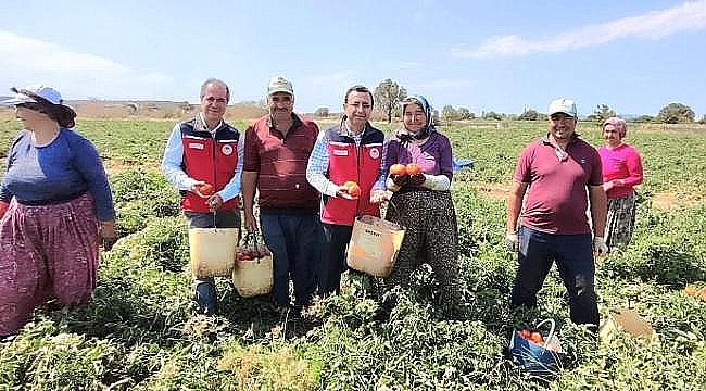 DEMİRHAN'DAN BAYRAMİÇ'TE DOMATES ÜRETİCİLERİNE ZİYARET