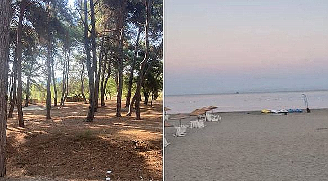 KABATEPE'DE SAHİPSİZ HAYVANLAR İÇİN VALİLİKTEN AÇIKLAMA