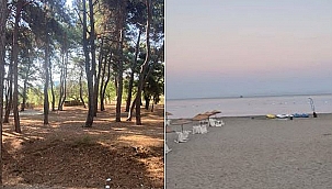 KABATEPE'DE SAHİPSİZ HAYVANLAR İÇİN VALİLİKTEN AÇIKLAMA