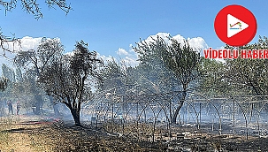 SERALIK ALANDA YANGIN!