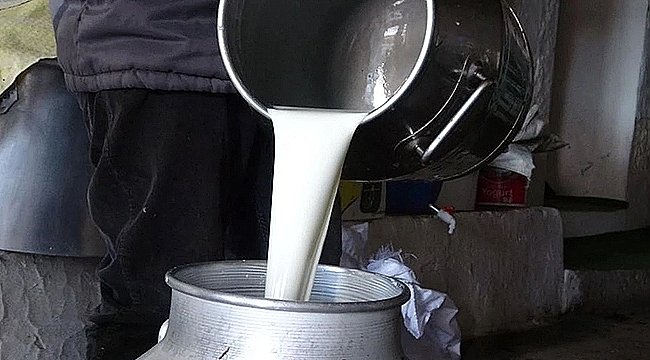 TİCARİ SÜT İŞLETMELERİNCE 934 BİN 745 TON İNEK SÜTÜ TOPLANDI