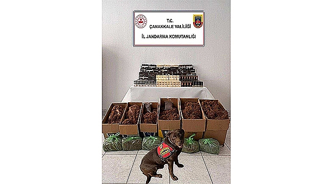 YENİCE'DE KAÇAK TÜTÜN OPERASYONU!
