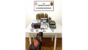 LAPSEKİ'DE KAÇAKÇILIK OPERASYONU