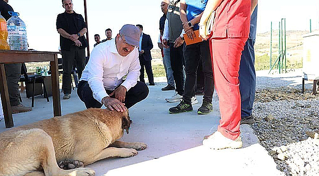 SAHİPSİZ HAYVANLAR İÇİN BAKIMEVİ VE DOĞAL YAŞAM ALANI ZİYARET EDİLDİ