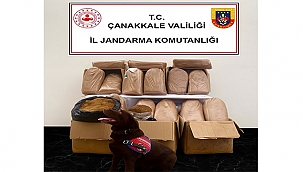 ÇANAKKALE'DE KAÇAKÇILIK OPERASYONLARI SÜRÜYOR